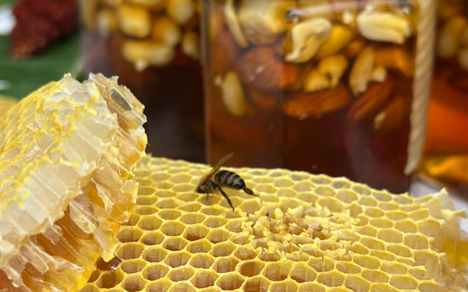 Buzz’N Bees apiary location in Southwestern Ontario
